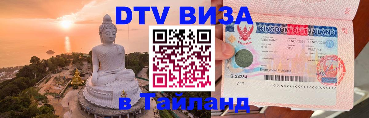 Оформление DTV визы под ключ: стоимость и тарифы, только загранпаспорт - Домодедово  06.12.2025 